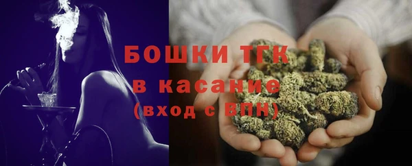 шишки Баксан