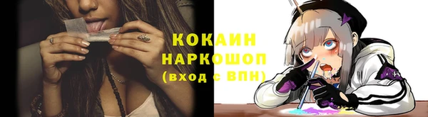 шишки Баксан