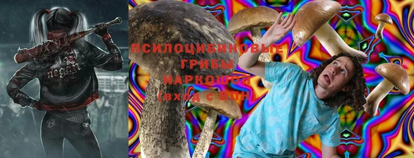 шишки Баксан