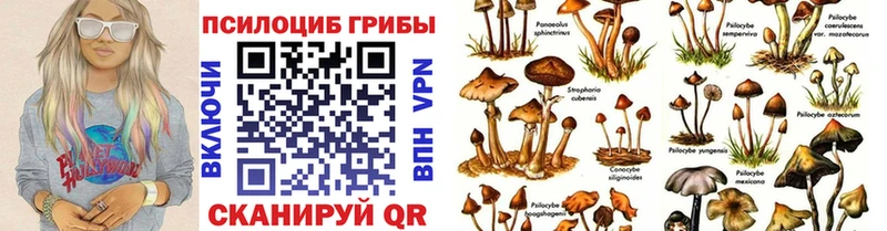 Галлюциногенные грибы мухоморы  Лосино-Петровский 