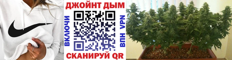 Бошки Шишки планчик  Лосино-Петровский 